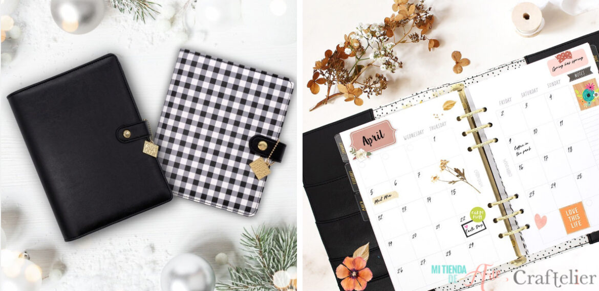 planner carpe diem